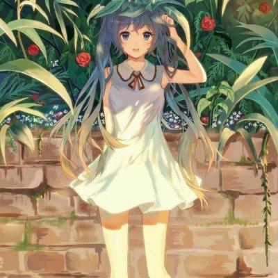 学生邱某某发虐猫影像被开除学籍