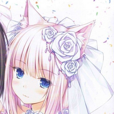 12岁女孩用中国功夫创两项吉尼斯纪录